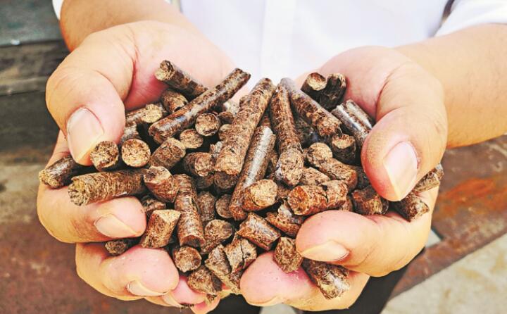 重慶市鼓勵(lì)生物燃料在鋼鐵、水泥、化工等行業(yè)的應(yīng)用.jpg